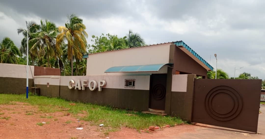 Catégorie populaire